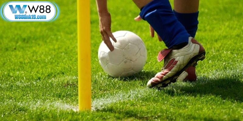 Bạn chỉ nên chọn những trận đấu lớn hoặc những trận mà bạn hiểu biết